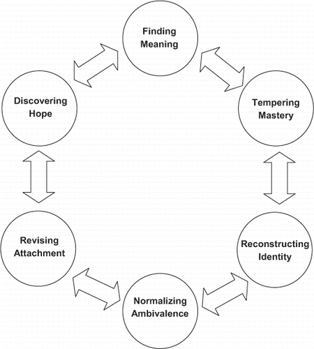 Diagram of ambiguous loss